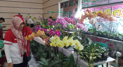 Festival Anggrek Digelar, Pemkab Jember Berharap Ada Varietas Unggulan