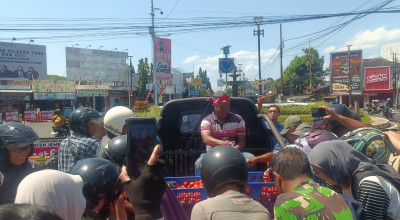 Petani Tomat di Jember Bagi-bagi Gratis Depan Kantor DPRD, Kecewa Harga Rp500/Kg