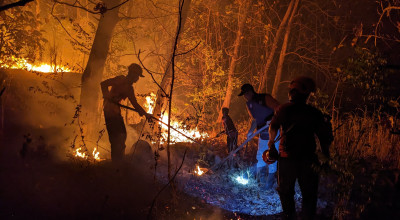 BPBD Ponorogo Catat 6 Kali Hutan Terbakar dalam Juni-Juli 2024