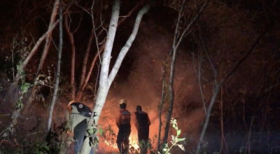 Hutan Gunung Putuk Cupu di Ponorogo juga Terbakar, 2 Hari Belum Padam