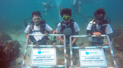 Konservasi Lingkungan, Pelindo Terminal Petikemas Tanam 632 Bibit Terumbu Karang