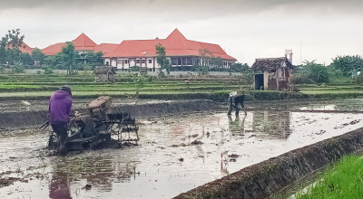 Rakor di Kota Batu, Kementan Dorong Peningkatan Produktivitas Padi lewat UPJA