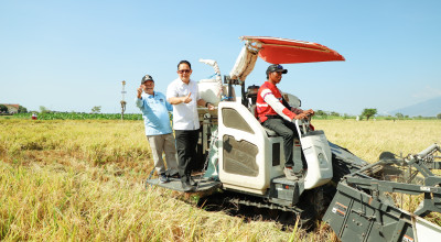 Panen Raya Padi di Situbondo, Pj Gubernur Dorong Peningkatan Benih Varietas Unggul