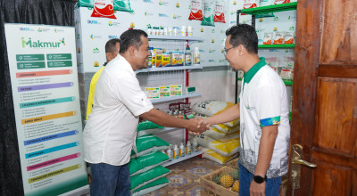 Program Kampung Makmur, Dorong Produktivitas Petani Nanas di Kediri