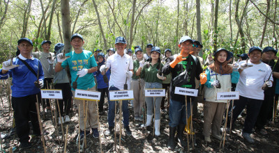 Tanam Mangrove, Mekabox Gandeng Bruin Ajak Warga Surabaya Peduli Lingkungan