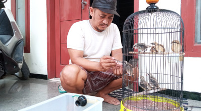 Kisah ASN Jember Sukses jadi Peternak Burung, Usahanya Sempat Diprotes Keluarga