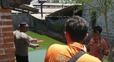 Ditinggal Ibu Memasak, Balita Tulungagung Tewas di Kolam Ikan Gurame