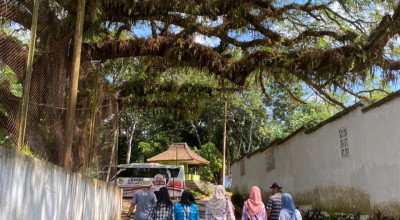 Jember akan Miliki Kampung Belgia, Bangunannya Berusia 1 Abad