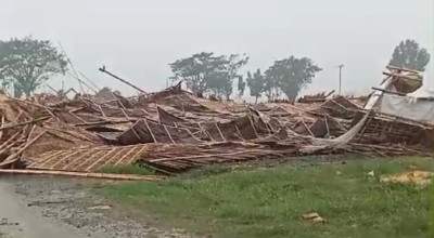 Puting Beliung di Jember, Pohon Tumbang-Sejumlah Bangunan Ambruk