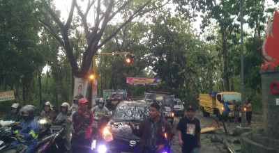 Hujan Deras Disertai Angin Kencang Terjang Bojonegoro Selatan, Banyak Pohon Tumbang