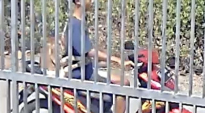 Aksi Bocah di Ponorogo Curi Anak Kambing Terekam CCTV, Kini Ditangkap Polisi