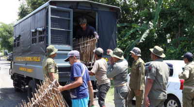 Satpol PP Jember Gelar Razia, 23 PMKS dan Motor Diamankan