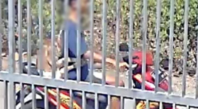 Remaja di Ponorogo Diduga Curi Kambing untuk Beli Rokok, Lho Le!