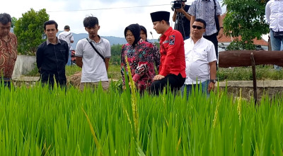 Risma Tertarik Replikasi Inovasi Pertanian Trenggalek di Jawa Timur