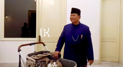 Bobby Kertanegara, Kucing Prabowo yang Punya Kamar Pribadi di Istana Negara