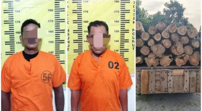 2 Pencuri Kayu Jati di Lahan Perhutani Ditangkap Polisi Tulungagung