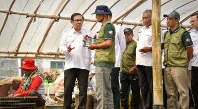 Program TJSL Petrokimia Gresik, Desa Tawangargo jadi Pusat Hortikultura Modern