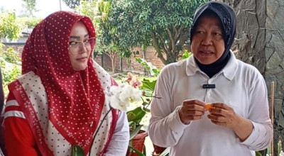 Cagub Jatim Risma Optimistis Jeruk Malang Bisa Go Internasional