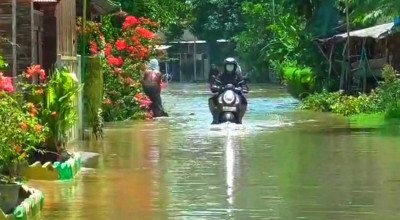5 Desa Banjir, Pupuk Bersubsidi Aman, Menezes Bilang Begini