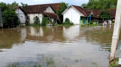 Luapan Sungai Bengawan Solo Genangi Puluhan Rumah Warga Lamongan