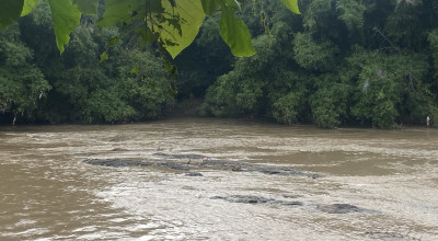 Heboh Penemuan Mayat Wanita Tanpa Busana di Sungai Ponorogo