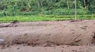 Banjir Bandang Melanda 3 Desa di Jember, Ratusan Hektare Sawah Rusak