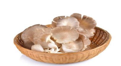 7 Jenis Jamur yang Aman Dikonsumsi dan Bermanfaat untuk Kesehatan