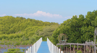 5 Hal Menarik dari Destinasi Wisata Mangrove Penunggul Park di Pasuruan
