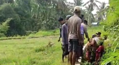 Warga Jember Temukan Bayi Laki-laki Dibuang, Ada Suara Tangis Dikira Musang
