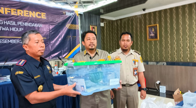Bea Cukai Juanda Sidoarjo Gagalkan Penyelundupan 39 Satwa Hidup