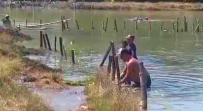 Banjir Rob Diprediksi Bakal Datang Lagi, Petambak Sidoarjo Tinggikan Tanggul