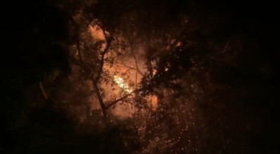 Pohon Besar Dekat Pemukiman di Bangkalan Terbakar Akibat Petir, Warga Panik