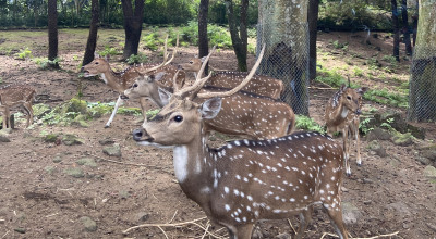 Kawasan Wisata di Jawa Timur Hujan Hari Ini, Hati-hati yang Sedang Berlibur