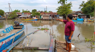 3 Ekor Buaya Besar Teror Warga Sekitar Sungai Kedungpeluk Sidoarjo