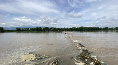 8 Tanggul di Ponorogo Jebol, Banjir Rendam Ratusan Hektare Sawah