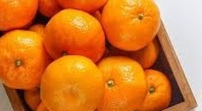 Aneka Hidangan Pendamping saat Perayaan Imlek