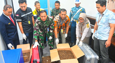 Penyelundupan Kalajengking Kering ke Hongkong Digagalkan di Bandara Juanda