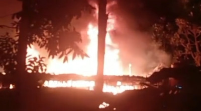 11 Ribu Ayam dalam Kandang di Sampang Hangus Terbakar, Peternak Rugi Rp538 Juta