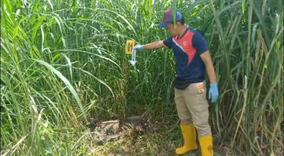 Polisi Usut Temuan Kerangka Manusia di Area Persawahan Kota Blitar