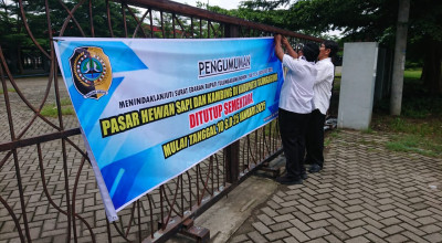 Cegah Penyebaran PMK, Pasar Hewan di Tulungagung Ditutup Sementara