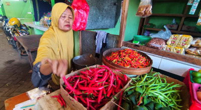 Harga Cabai di Pasar Induk Porong Sidoarjo Berangsur Turun, Hanya Rp50 Ribu/Kg