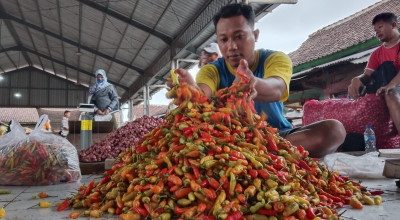Pasokan Berkurang, Harga Cabai di Tulungagung Meroket