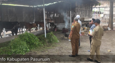Disnak Tegaskan Susu dan Daging Sapi asal Pasuruan Aman dari PMK