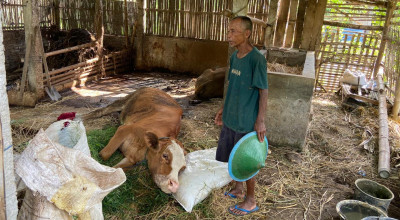 Wabah PMK di Jimbe Ponorogo, Peternak Harap Pemkab Segera Bertindak
