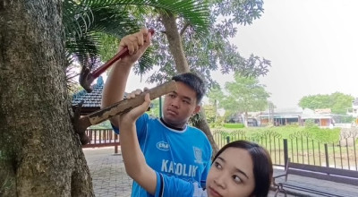 Ratusan Siswa di Tulungagung Cabuti Paku di Pohon