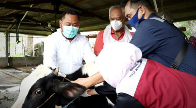 Cegah PMK, Pemkab Gresik Gencarkan Vaksinasi dan Edukasi Peternak
