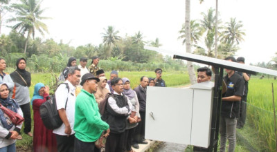 Inovasi Smart Farming untuk Usir Hama dan Tingkatkan Kualitas Padi