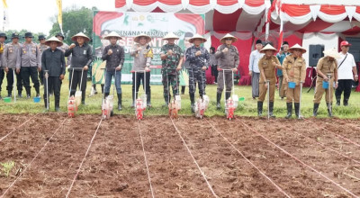 Tanam Jagung 1 Juta Hektare, Pemkab Bangkalan Dukung Swasembada Pangan