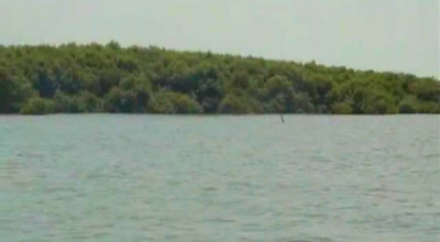 Sejarah HGB 656 Hektare di Pesisir Sedati Sidoarjo, Awalnya Hadiah untuk Warga Miskin