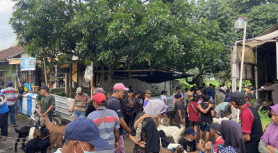 Wabah PMK di Ponorogo, Harga Sapi dan Kambing Anjlok
